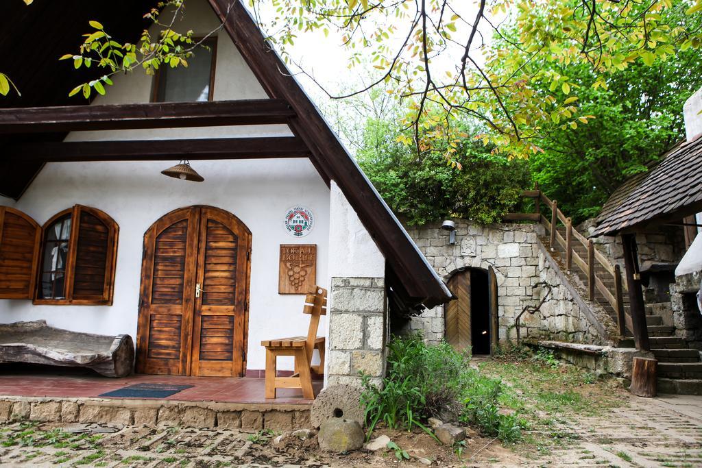Hotel Myrtus Pince Es Vendeghaz Tarcal Exteriér fotografie