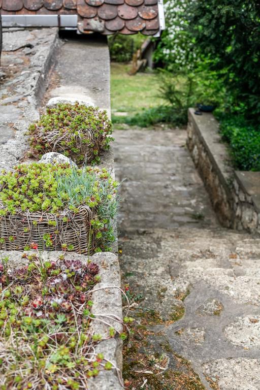 Hotel Myrtus Pince Es Vendeghaz Tarcal Exteriér fotografie